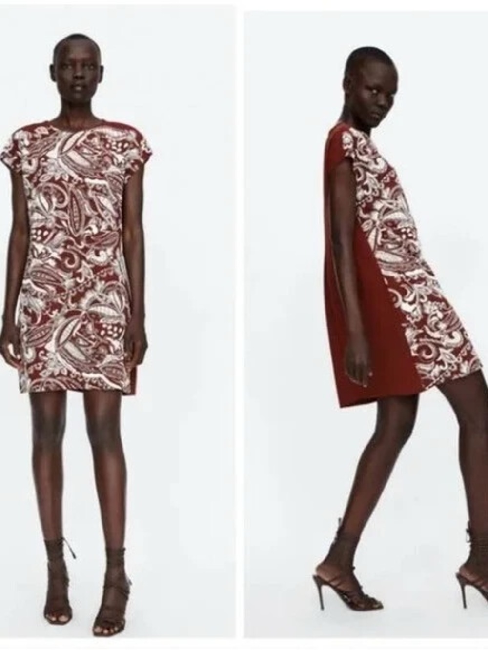 Zara Size Medium Women's Short Sleeve Red Paisley Shift Dress